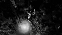 FRAMERATE: Desert Pulse ‘Falling Saguaro: From Above’