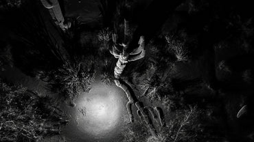 FRAMERATE: Desert Pulse ‘Falling Saguaro: From Above’