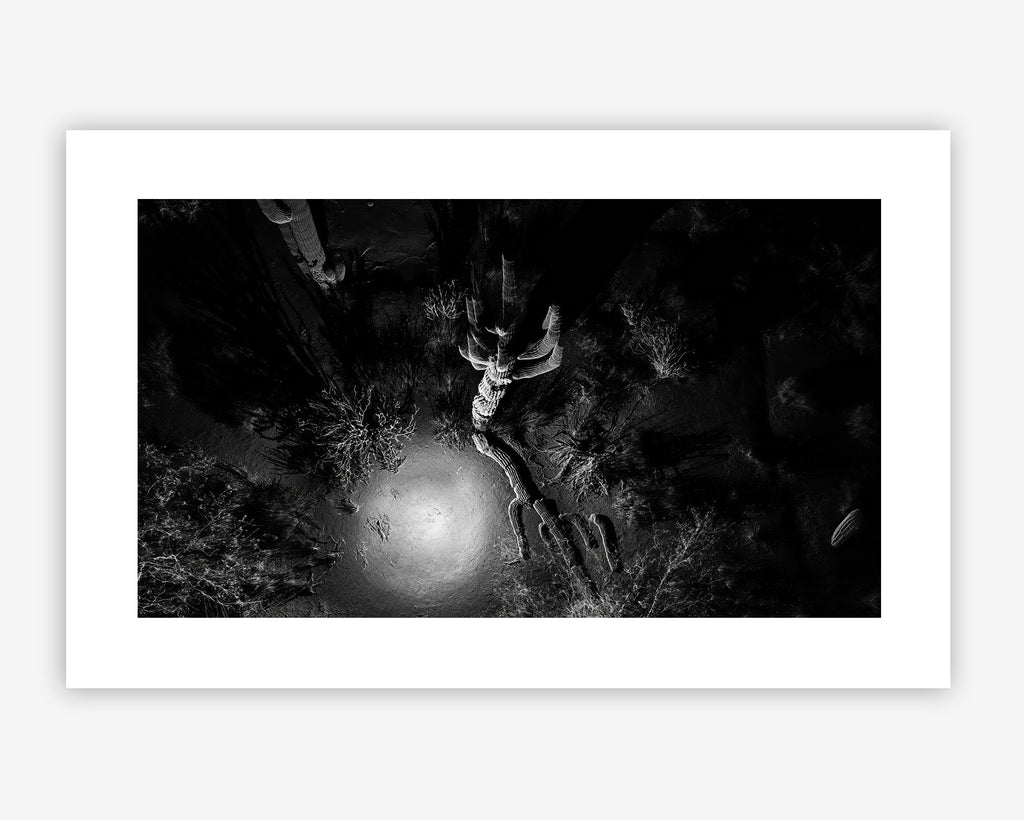 FRAMERATE: Desert Pulse ‘Falling Saguaro: From Above’